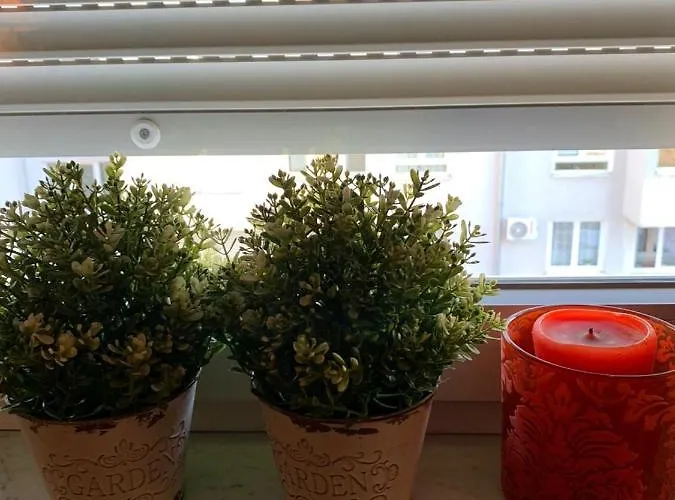 Sarmantni Apartman Malecka 2